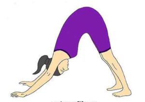 Downward Dog Posture (Parvatasana)
